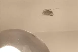 3400 Speedway, Austin, TX 78705 - Photo 14