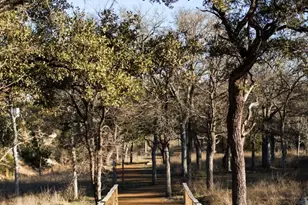 316 Valletta Wy, Liberty Hill, TX 78642 - Photo 38