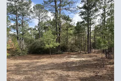 217 Kestrel Lane, Red Rock, TX 78662 - Photo 14