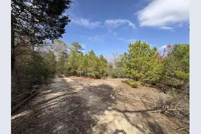 217 Kestrel Lane, Red Rock, TX 78662 - Photo 6