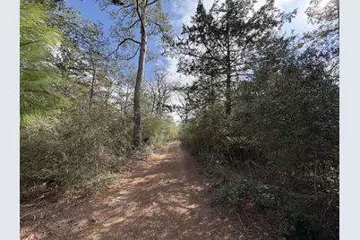 217 Kestrel Lane, Red Rock, TX 78662 - Photo 8