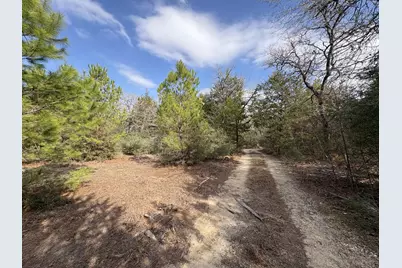 217 Kestrel Lane, Red Rock, TX 78662 - Photo 12