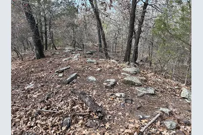 217 Kestrel Lane, Red Rock, TX 78662 - Photo 10