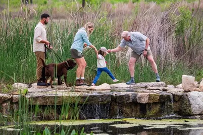 _ Prominence Road, Spicewood, TX 78669 - Photo 12