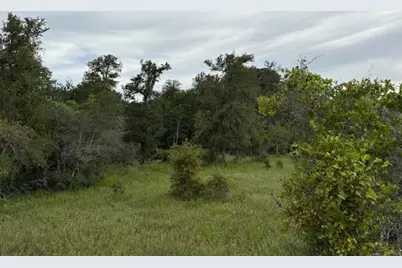 Lot #1 Willis Ln Lane, Smithville, TX 78957 - Photo 6