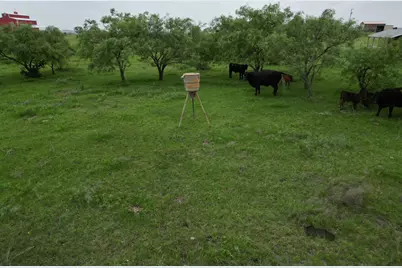 2238 County Road 2109, Lometa, TX 76853 - Photo 8