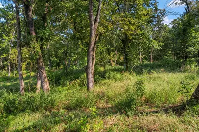 Tbd Lake Oaks Circle #79-80, Coldspring, TX 77331 - Photo 12