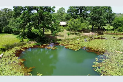 179 Stiewert Lane, Paige, TX 78659 - Photo 32