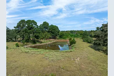 179 Stiewert Lane, Paige, TX 78659 - Photo 36