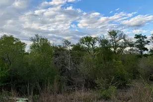 309 Oak Arbor Trail, Del Valle, TX 78617 - Photo 18