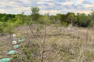 309 Oak Arbor Trail, Del Valle, TX 78617 - Photo 16