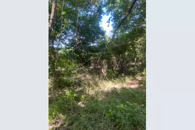 366 Riverside Drive, Bastrop, TX 78602 - Photo 8