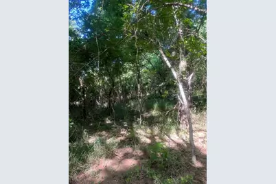 366 Riverside Drive, Bastrop, TX 78602 - Photo 6