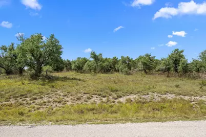 32000 Mirela Ann Road, Dripping Springs, TX 78620 - Photo 2