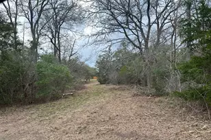 303 Fm 609 Rd, Flatonia, TX 78941 - Photo 1