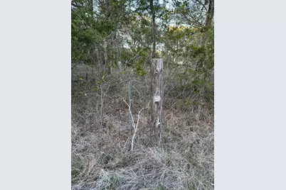 303 Fm 609 Road, Flatonia, TX 78941 - Photo 12