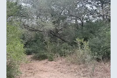 303 Fm 609 Road, Flatonia, TX 78941 - Photo 2