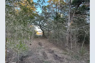 303 Fm 609 Road, Flatonia, TX 78941 - Photo 6