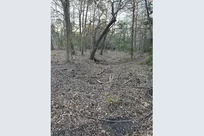 303 Fm 609 Road, Flatonia, TX 78941 - Photo 14