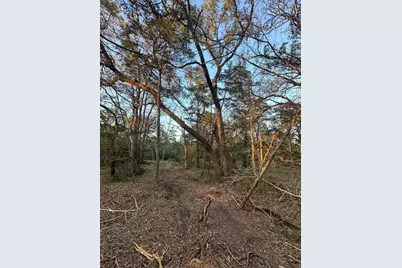 303 Fm 609 Road, Flatonia, TX 78941 - Photo 16