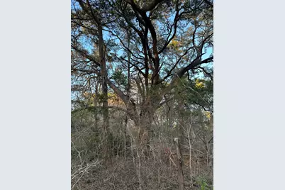 303 Fm 609 Road, Flatonia, TX 78941 - Photo 10