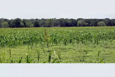 9411 Fm 86 Highway, Lockhart, TX 78644 - Photo 2