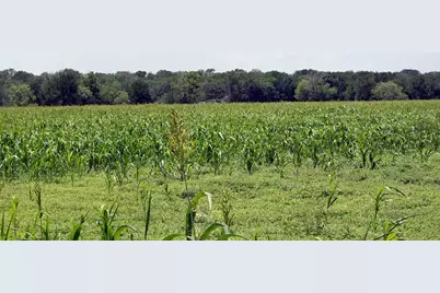 9411 Fm 86 Highway, Lockhart, TX 78644 - Photo 2