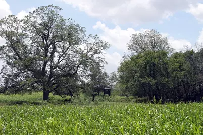 9411 Fm 86 Highway, Lockhart, TX 78644 - Photo 10