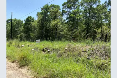 156 Molokini Drive, Bastrop, TX 78602 - Photo 4