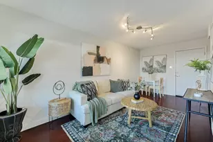 2020 S Congress Ave, Austin, TX 78704 - Photo 2