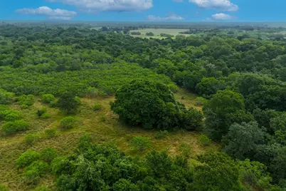 645 Jerrys Creek, Lockhart, TX 78644 - Photo 6