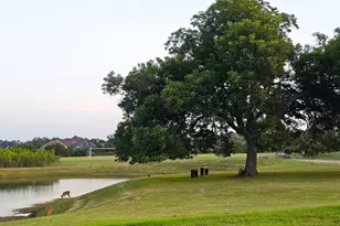 532 Stone River Dr, Austin, TX 78737 - Photo 36