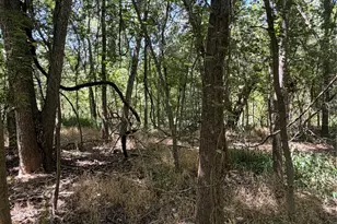 Lot 677 Kaukonahua Ln, Bastrop, TX 78602 - Photo 1