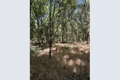 Lot 677 Kaukonahua Lane, Bastrop, TX 78602 - Photo 2