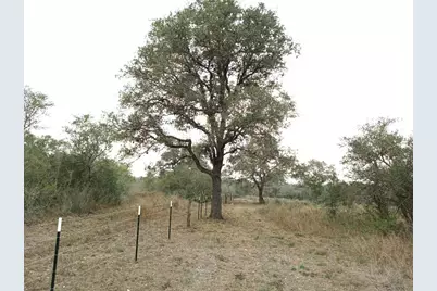 251 Lefty Lane Lane, Goliad, TX 77963 - Photo 16