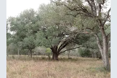 251 Lefty Lane Lane, Goliad, TX 77963 - Photo 4