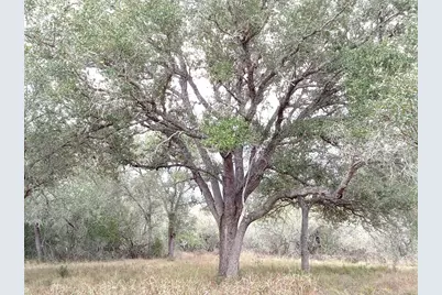 251 Lefty Lane Lane, Goliad, TX 77963 - Photo 12