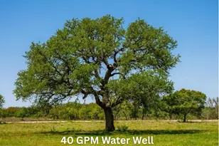 0 Springwood Ranch, Johnson City, TX 78636 - Photo 1