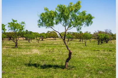 0 Springwood Ranch, Johnson City, TX 78636 - Photo 6