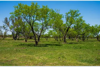 0 Springwood Ranch, Johnson City, TX 78636 - Photo 14