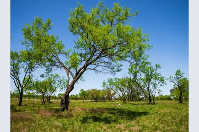 0 Springwood Ranch, Johnson City, TX 78636 - Photo 16