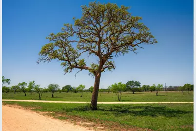 0 Springwood Ranch, Johnson City, TX 78636 - Photo 18