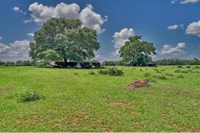 1368 County Road 207, Giddings, TX 78942 - Photo 24