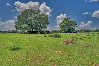 1368 County Road 207, Giddings, TX 78942 - Photo 18