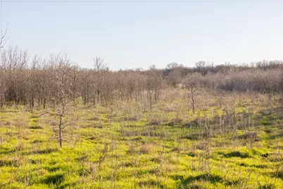 2801 County Road 436, Thrall, TX 76578 - Photo 20