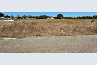117 Warren Wallace, Blanco, TX 78606 - Photo 8