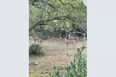 422 Patricia Road, Georgetown, TX 78628 - Photo 6