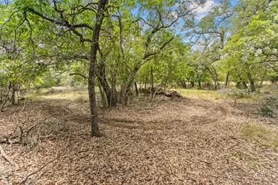 150 Oak Grove Drive, Dripping Springs, TX 78620 - Photo 6