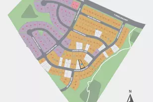 338 Jackson River Loop, Kyle, TX 78640 - Photo 18