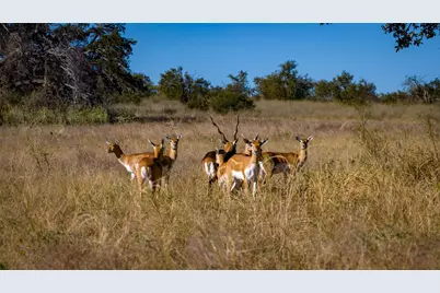 7702 Ranch Road 965, Llano, TX 78624 - Photo 26